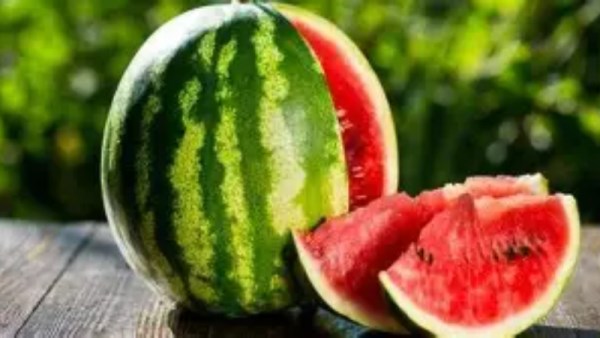أسعار البطيخ 