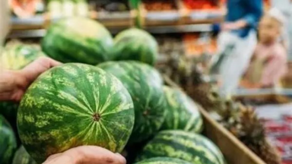 سعر البطيخة