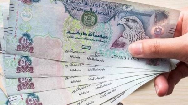 الدرهم الاماراتي 