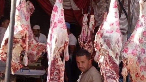اللحوم اليوم 