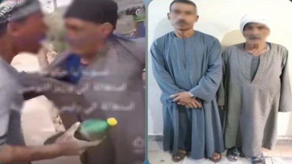 المسن والمتعدي عليه