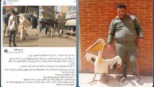 مالك المحل