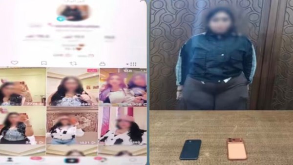 صانعة المحتوى