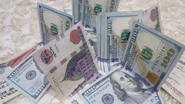 سعر الدولار اليوم