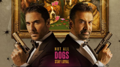 5 أسباب تضمن نجاح فيلم 