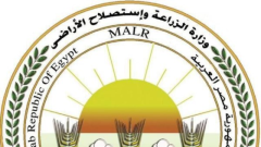 وزارة الزراعة تحذر من صفحات وهمية تنتحل اسمها لبيع المنتجات عبر «فيسبوك»