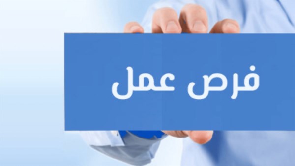 فرص عمل بوزارة النقل
