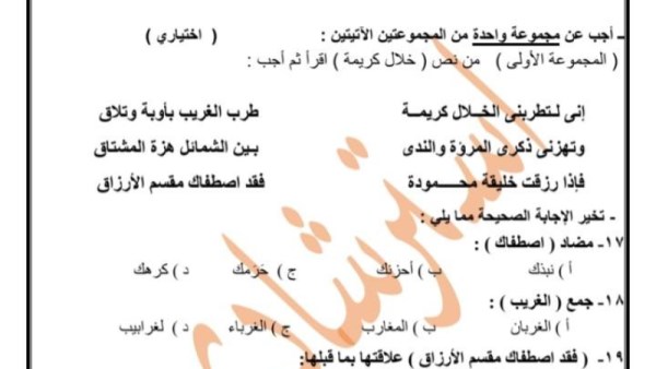 اللغة العربية