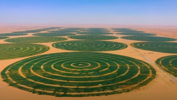 مشروع الدلتا الجديدة