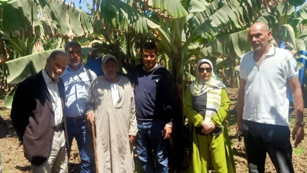 أنشطة وزارة الزراعة 