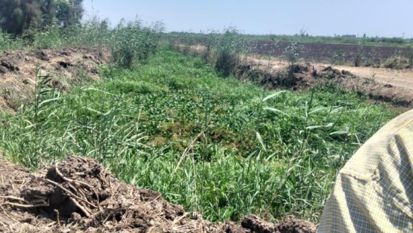 ترعة الشعراوي 