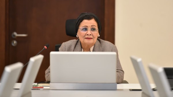 الدكتورة عبلة الألفي نائب وزير الصحة