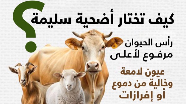 كيف تختار أضحية سليمة 