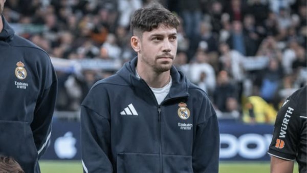 فيدريكو فالفيردي