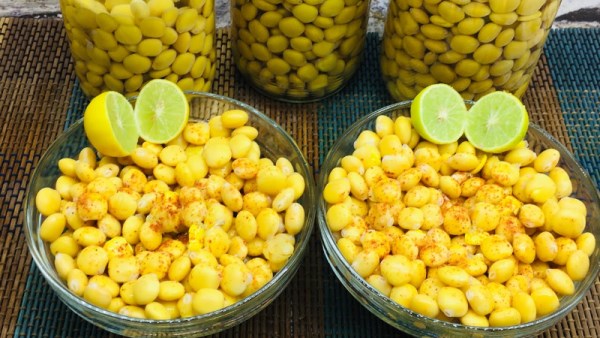الترمس الرومي