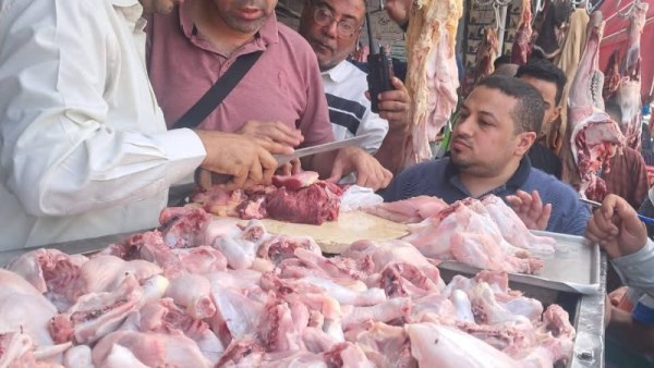 جانب من المضبوطات