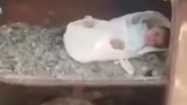 العثور على طفل متوفي في القمامة في أوسيم 