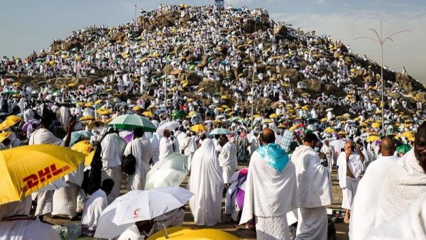 حجاج بيت الله الحرام من صعيد عرفات 