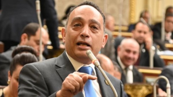النائب فريد البياضي عضو مجلس النواب