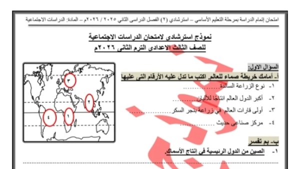 النموذج الاسترشادي 