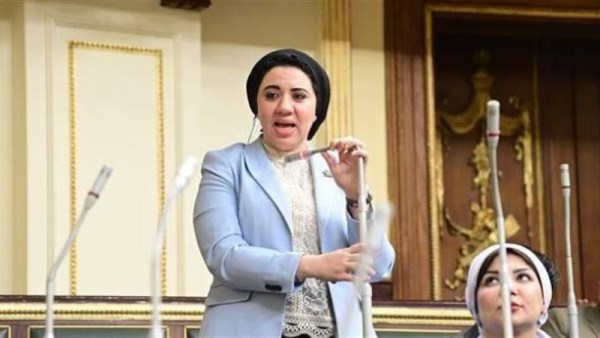 النائبة أميرة صابر 