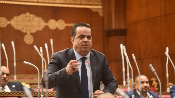 عصام عفيفي 