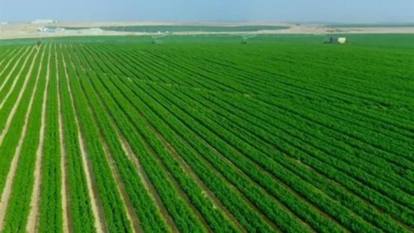 مشروع الدلتا الجديدة