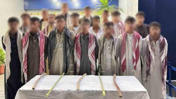 القبض على 17 