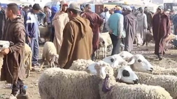 المغرب