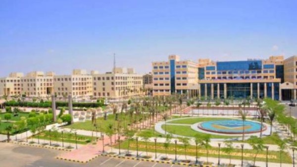 الجامعات