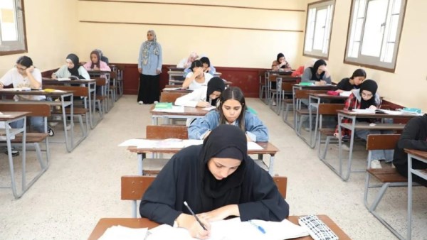 الدبلومات الفنية