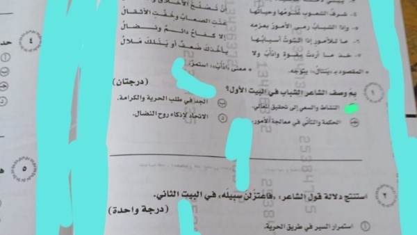 امتحان اللغة العربية 