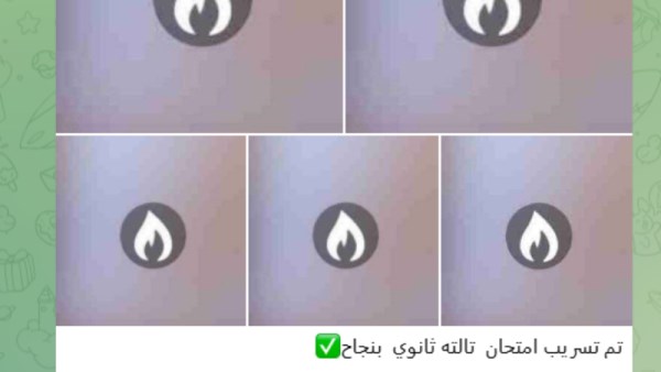 امتحان اللغة العربية للثانوية العامة