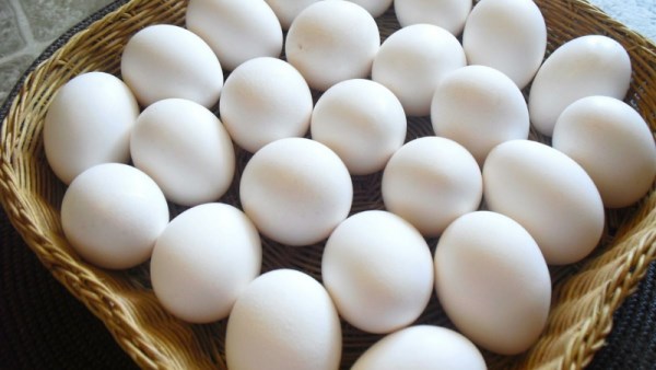 سعر كرتونة البيض اليوم 