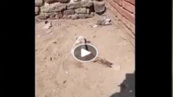 العثور على قدم بالمقابر 