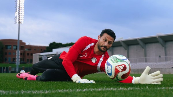 محمد الشناوي