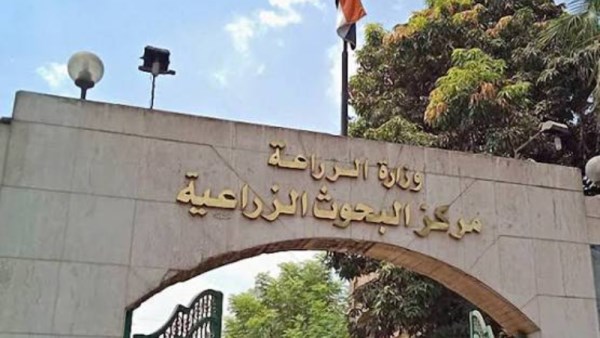 مركز البحوث الزراعية 