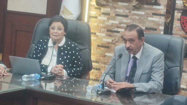 الدكتورة عبلة الألفي نائب وزير الصحة