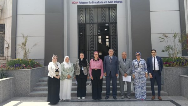 معهد بحوث الصحة الحيوانية 