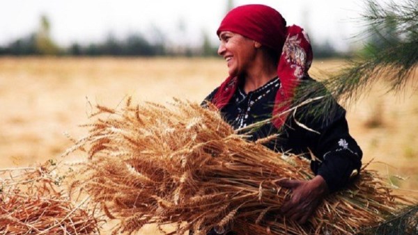 دعم المرأة الريفية 