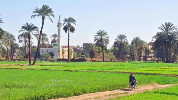 الريف المصري 