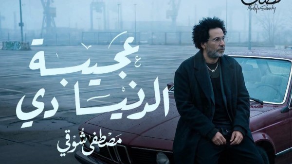 مصطفى شوقي 
