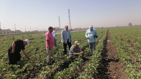 غضب بين المزارعين بعد واقعة رئيس الجمعية الزراعية في سنتريس