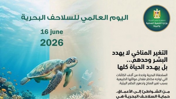 اليوم العالمي للسلاحف البحرية