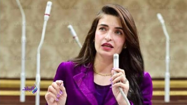 إيرين سعيد تنتقد غياب وزير الكهرباء عن مناقشات أزمة العدادات الكودية       