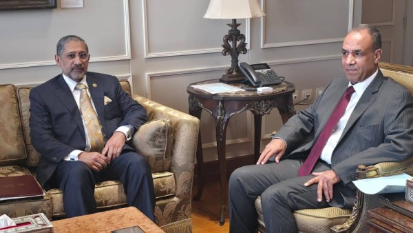 وزير الخارجية والتعاون الدولي والمصريين بالخارج