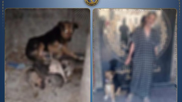 وزارة الداخلية