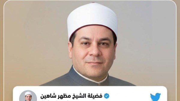 شاهين 