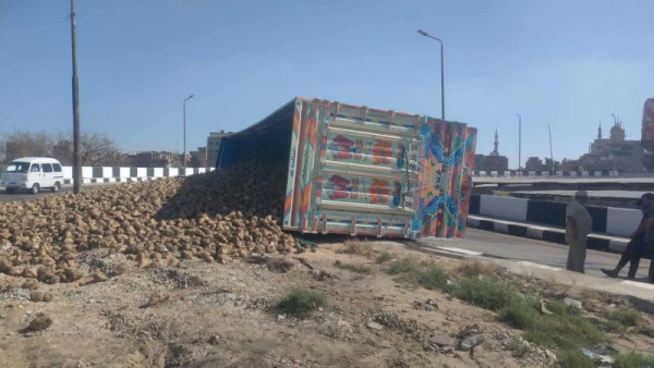 محافظ الدقهلية