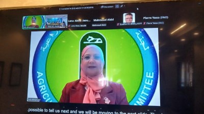  الدكتورة هالة أبو يوسف